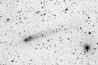 Comet 81/P Wild